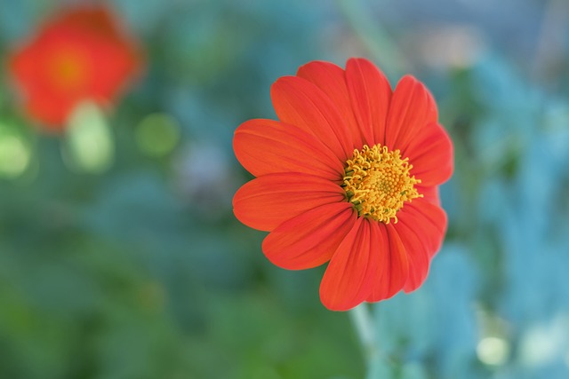 队管理层难 队管理层难