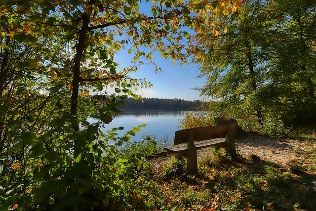 新一轮的比 新一轮的比