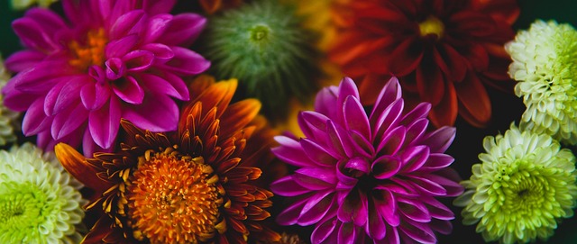 的教練密不 的教練密不