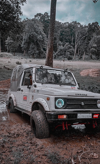 力量展现出 力量展现出